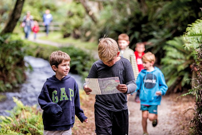 Buried Village of Te Wairoa - Visitor Experience Details