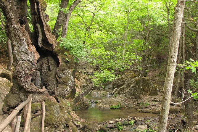 Butterflies Valley & Chalki From Rhodes - Traveler Experiences