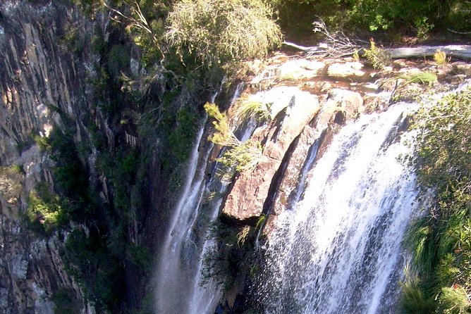 Byron Bay Hinterland Tour Including Rainforest Walk to Minyon Falls - Itinerary Highlights