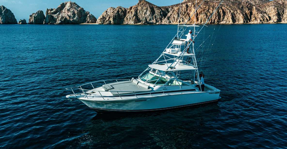 Cabo San Lucas: Arch Tour by Yacht 1 Hour - Marine Safari Highlights