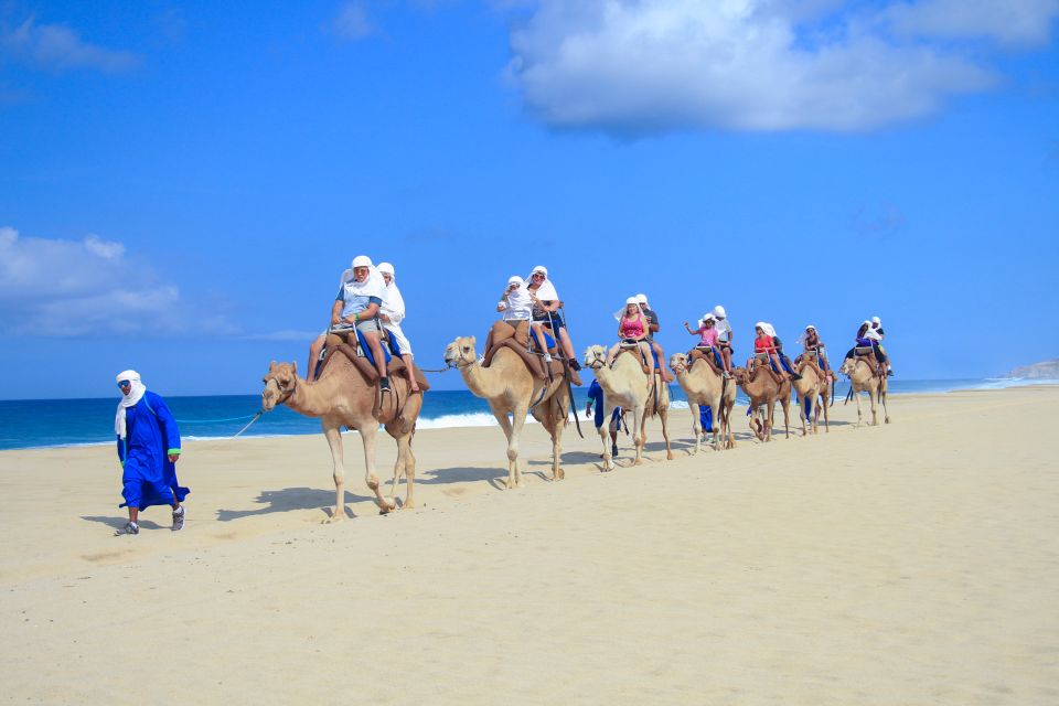 Cabo San Lucas: Half-day Guided Camel Safari Tour - Activity Details