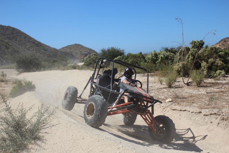Cabo San Lucas: Off-Roading Buggy Adventure to Migriño - Experience and Activity Highlights