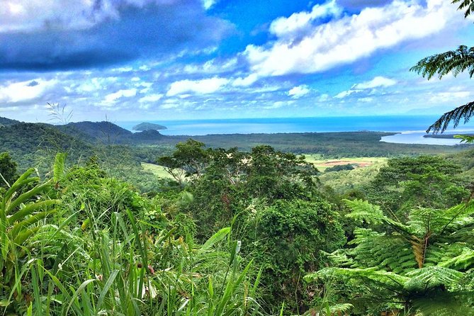 Cairns to Daintree Rainforest Park Private Day Tour With Lunch  - Cairns & the Tropical North - Booking Information