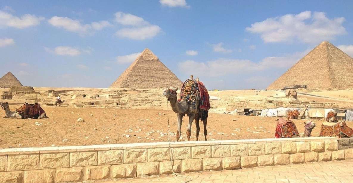 Cairo: Giza Pyramids, Egyptian Museum Day-Trip, Camel, Lunch - Experience Highlights