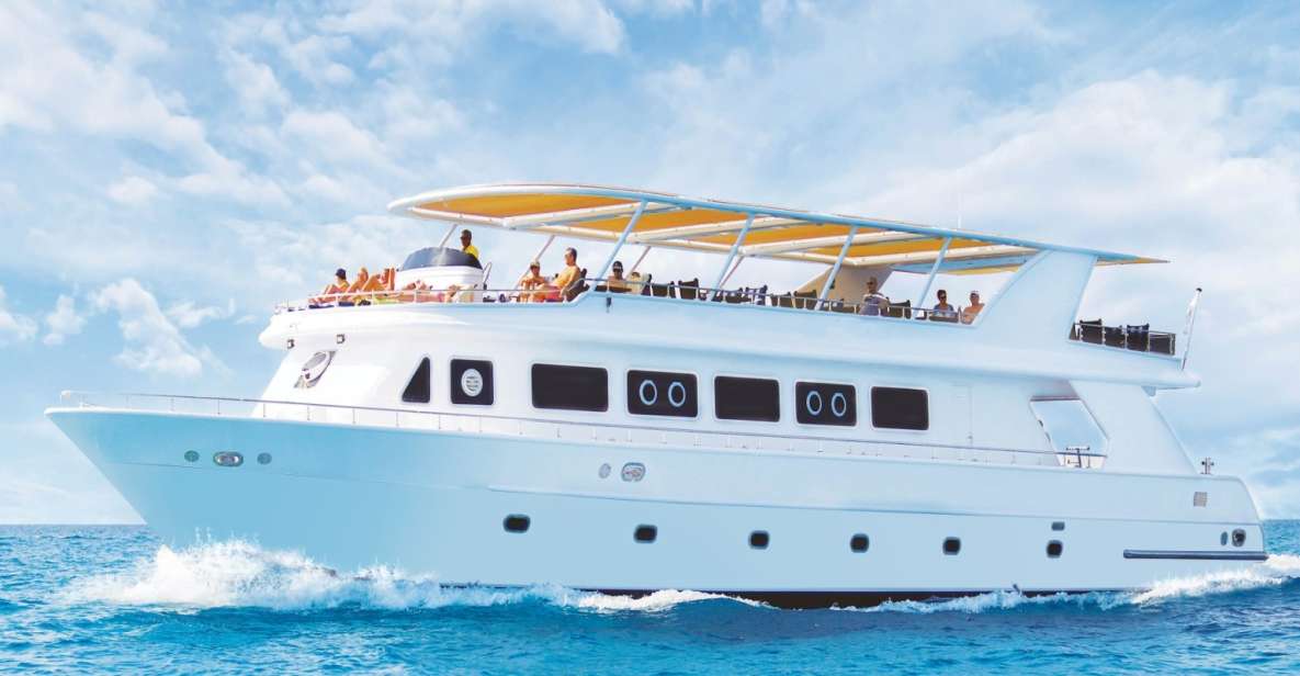 Cairo: Luxury Snorkeling Cruise & Lunch With Optional Pickup - Full Description