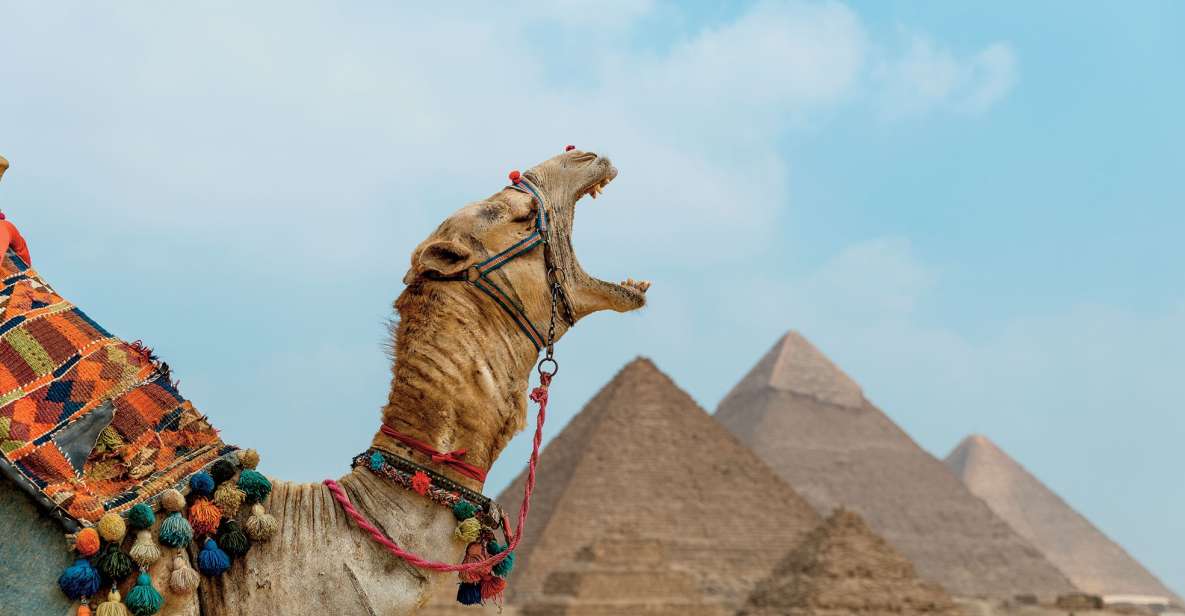 Cairo: Pyramids, Egyptian Museum and Citadel Tour With Lunch - Transport and Guide Information