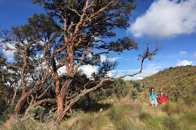 Cajas National Park Small-Group Tour From Cuenca - Last Words