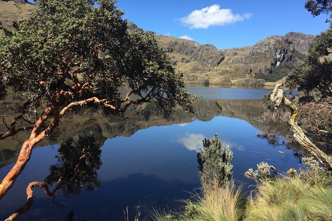 Cajas Unveiled: a Half-Day Escape From Cuenca - Cancellation Policy and Weather Considerations