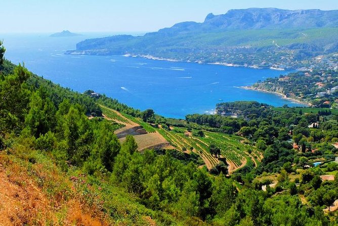 Calanques of Cassis, Aix-en-Provence & Wine Tasting Private Tour - Booking Information