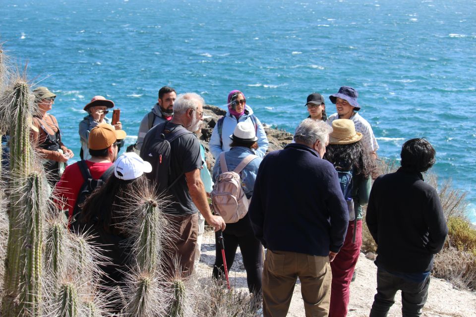 Caleta Los Hornos: Hiking Archaeological Sites - Booking and Logistics