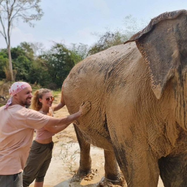 Cambodia Elephant Sanctuary and Banteay Srey Temple Tour - Cambodia Elephant Sanctuary Experience