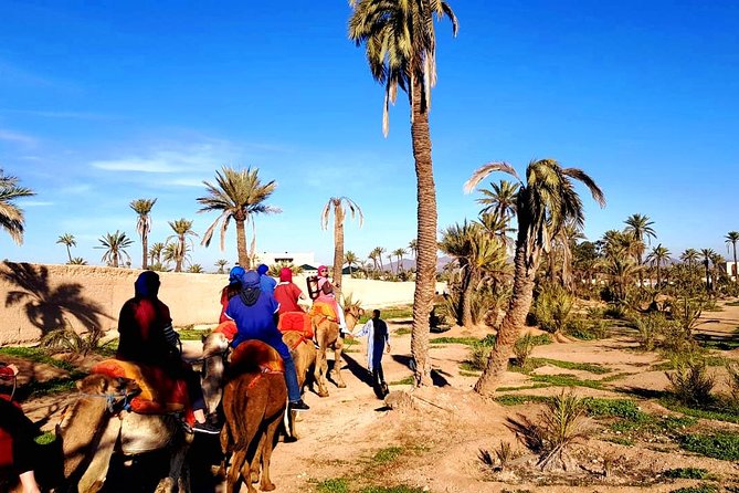 Camel Ride and Spa Treatment in Marrakech - Meeting and Pickup Details