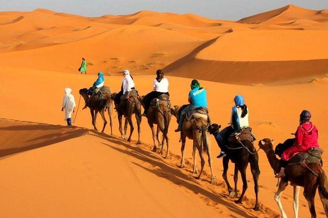 Camel Ride in Tanger - Duration and Itinerary Details