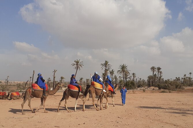 Camel Ride & Quad Bike Tours in the Palm Grove of Marrakech - Refreshments and Scenic Views