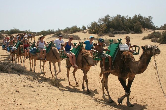 Camel Riding in Maspalomas Dunes - Timing and Meeting Point