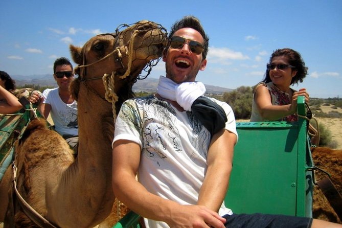 Camel Safari Through the Dunes of Maspalomas - Cancellation Policy