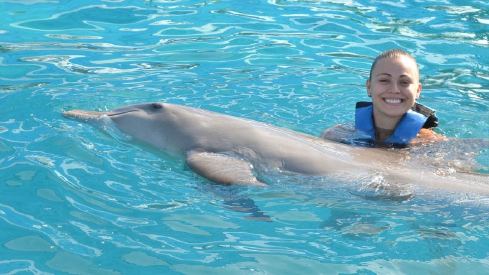 Cancún: Dolphin Encounter on Isla Mujeres With Buffet - Experience Highlights