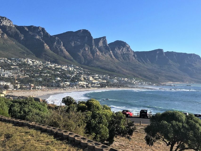Cape Peninsula: Cycle & Drive Private Full Day Tour - Tour Guide and Itinerary Details