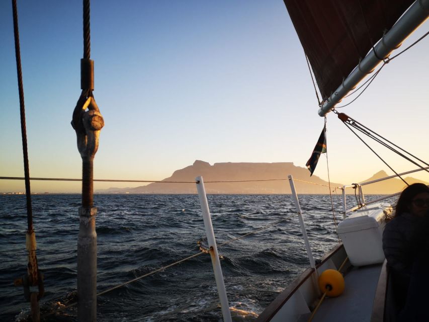 Cape Town: 1 Hour Table Bay Sailing Tour - Experience Highlights