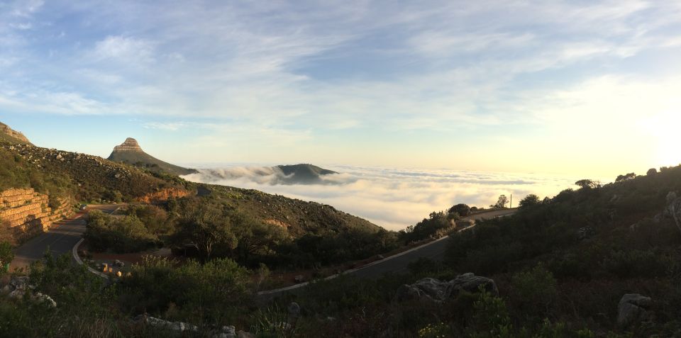 Cape Town: 3-Hour Table Mountain Hike via Platteklip Gorge - Experience Highlights