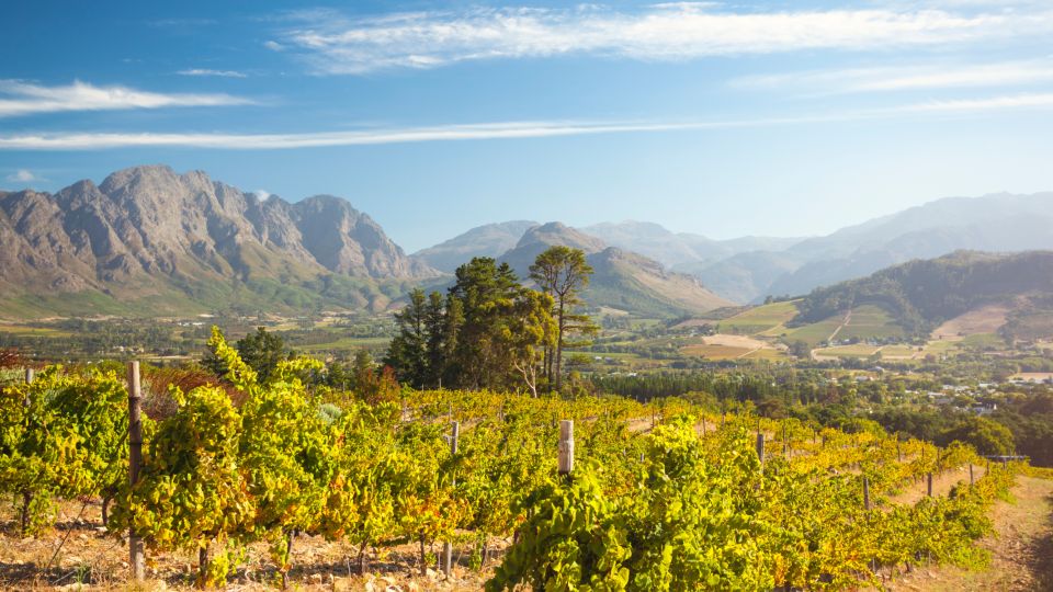 Cape Town: 3 Regions Private Cape Winelands Tour - Tour Highlights