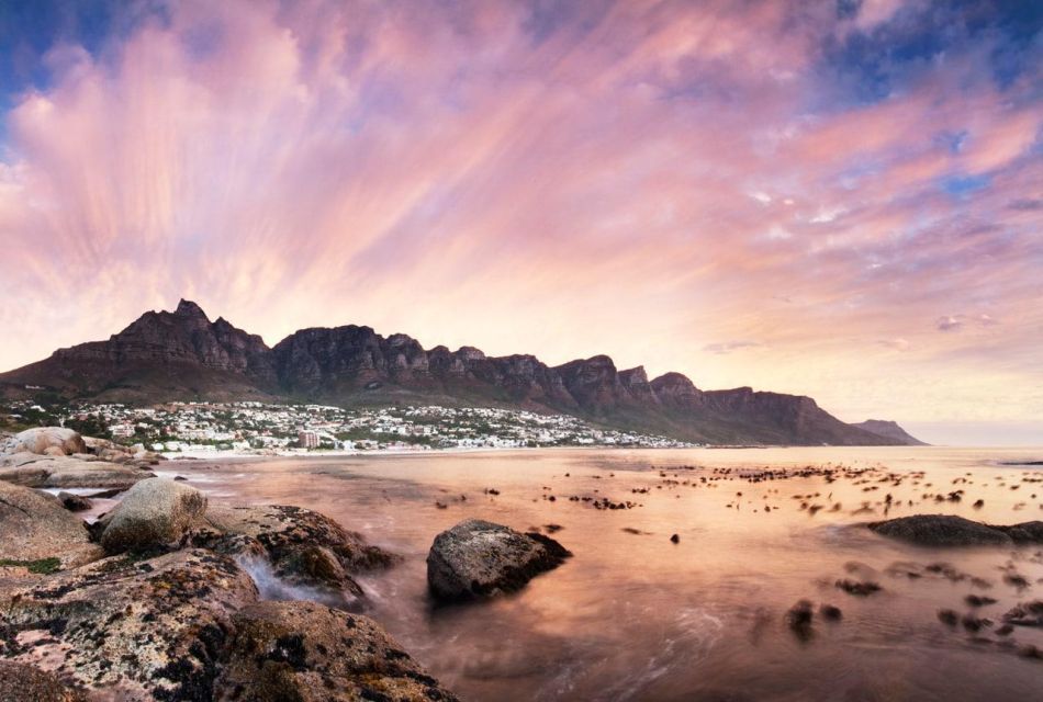 Cape Town: Best of the Cape Private Tour - Tour Highlights