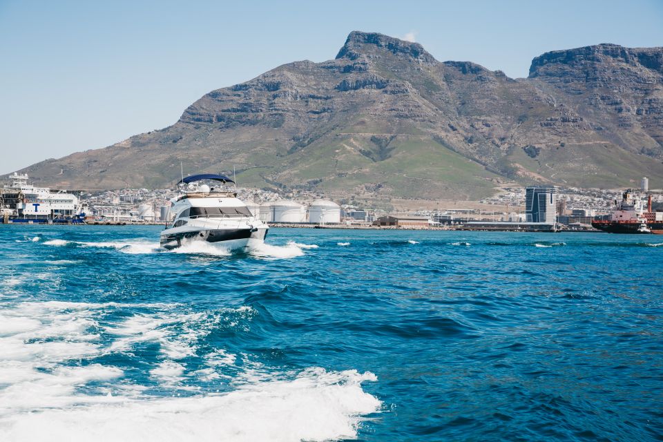 Cape Town: Coastal Cruise & 14-piece Sushi Meal - Experience Highlights