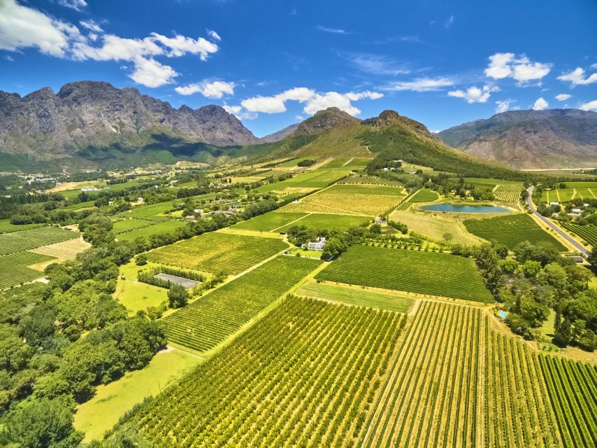 Cape Town: Full-Day Wine Tasting Tour With Wine Tram - Tour Details and Itinerary