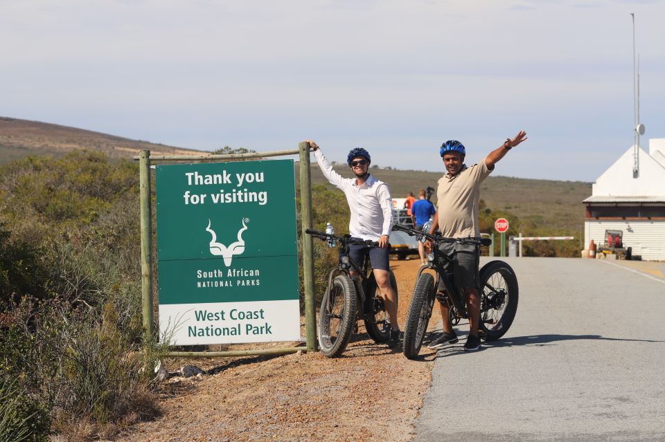 Cape Town: Guided E-Bike Safari Tour - Experience Highlights