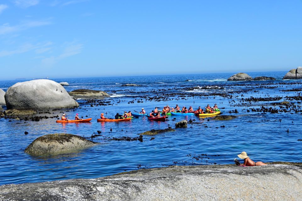 Cape Town: Guided Kayak Tour of Clifton Beaches & The Coast - Experience Highlights