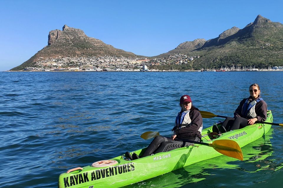 Cape Town: Guided Kayaking in Hout Bay - Experience Highlights