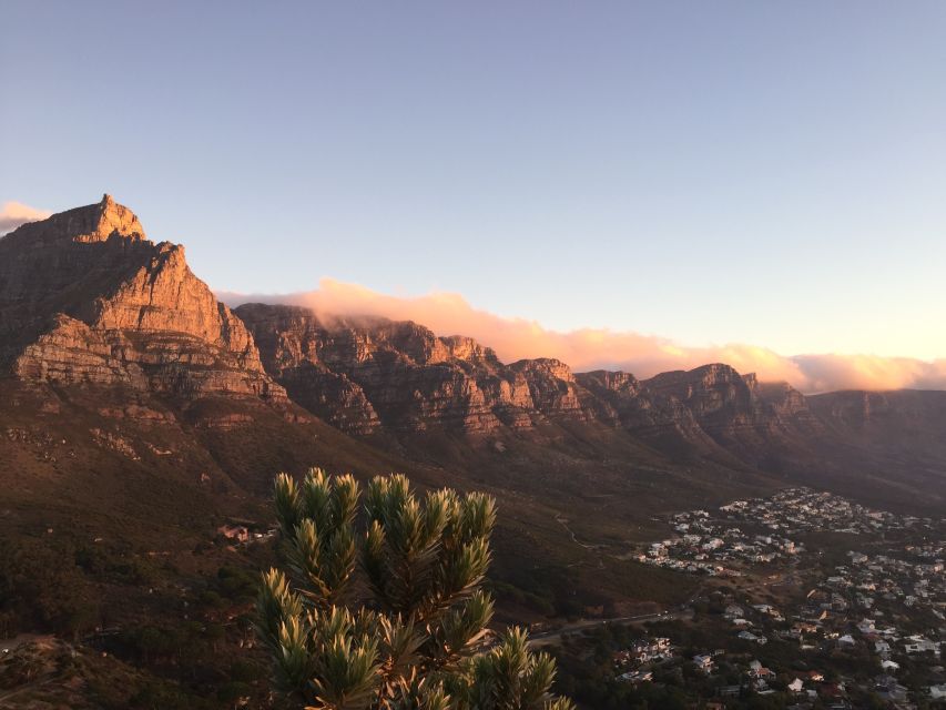 Cape Town: Guided Marine Wildlife Cruise and Cape Point Tour - Experience and Activities