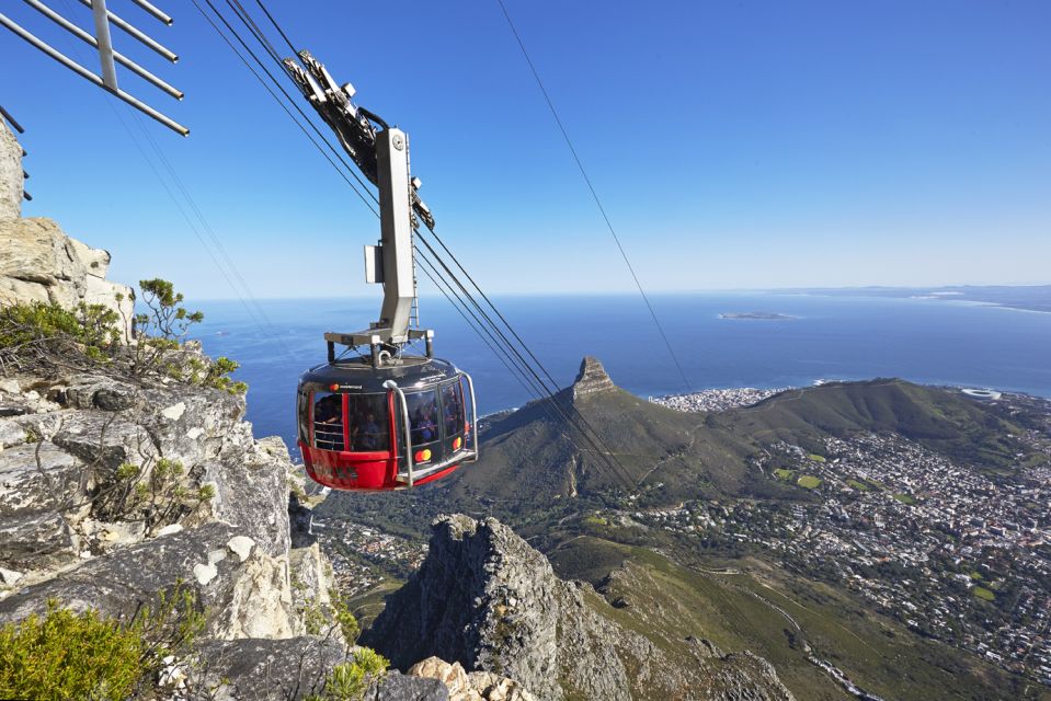 Cape Town: Half-Day City Tour - Customer Reviews and Ratings