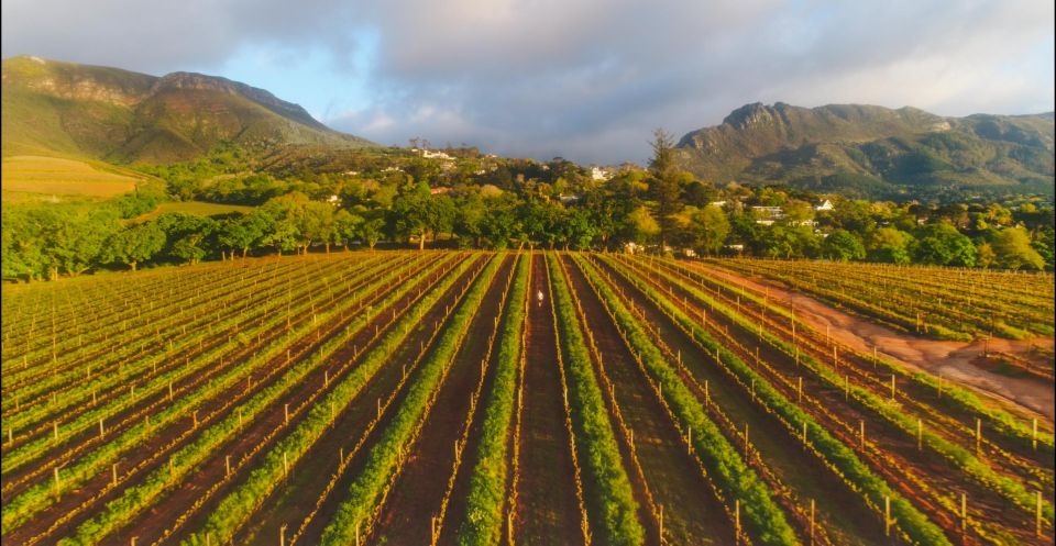 Cape Town: Iconic Constantia Food, Wine and Story Walk - Duration and Itinerary