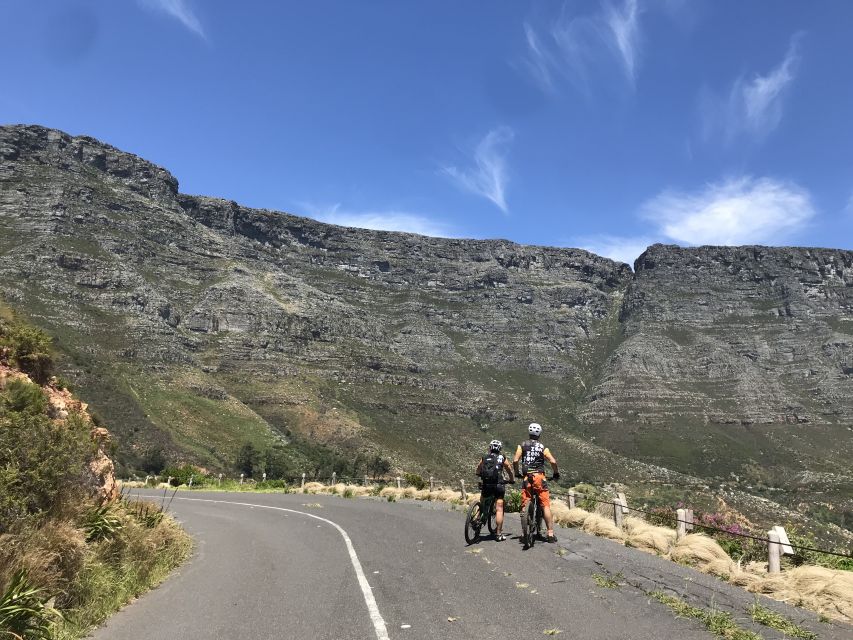 Cape Town: Mountain Biking Trip on Table Mountain - Experience Highlights