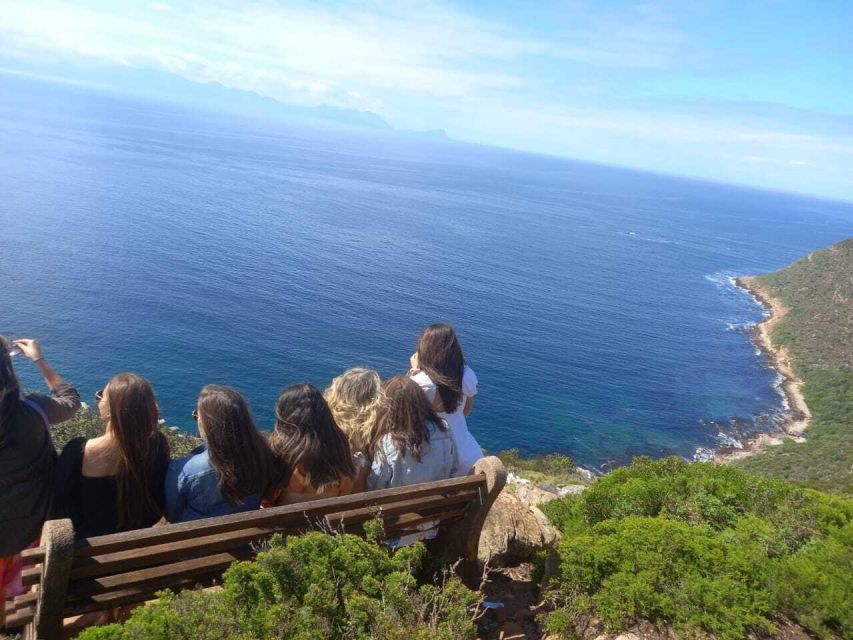 Cape Town: Private Full-Day Cape of Good Hope Tour - Optional Activities Offered