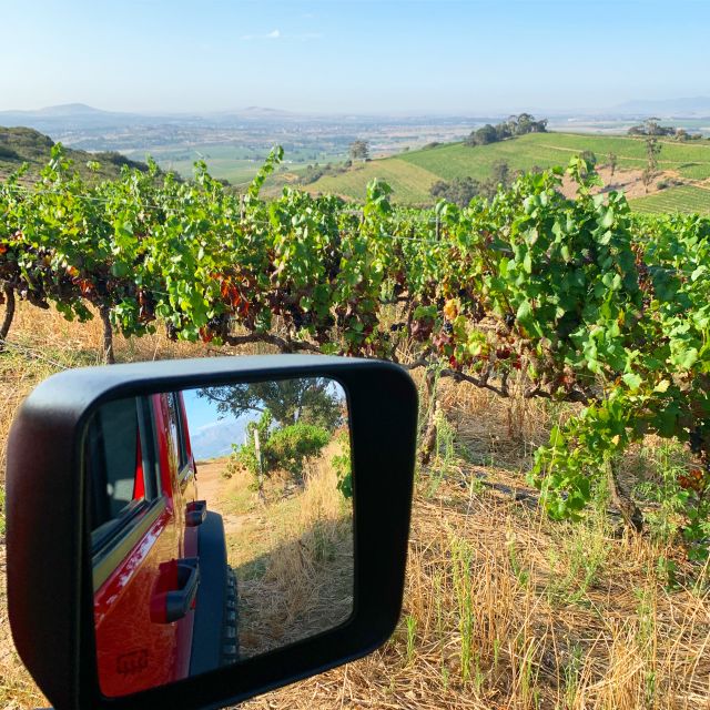 Cape Town: Private Jeep Constantia Wine Tour With Tastings - Location and Booking Information