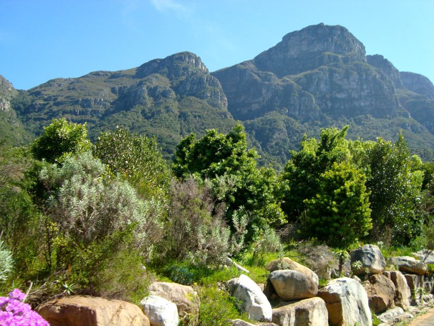 Cape Town: Skeleton Gorge and Kirstenbosch Gardens Hike - Experience Highlights
