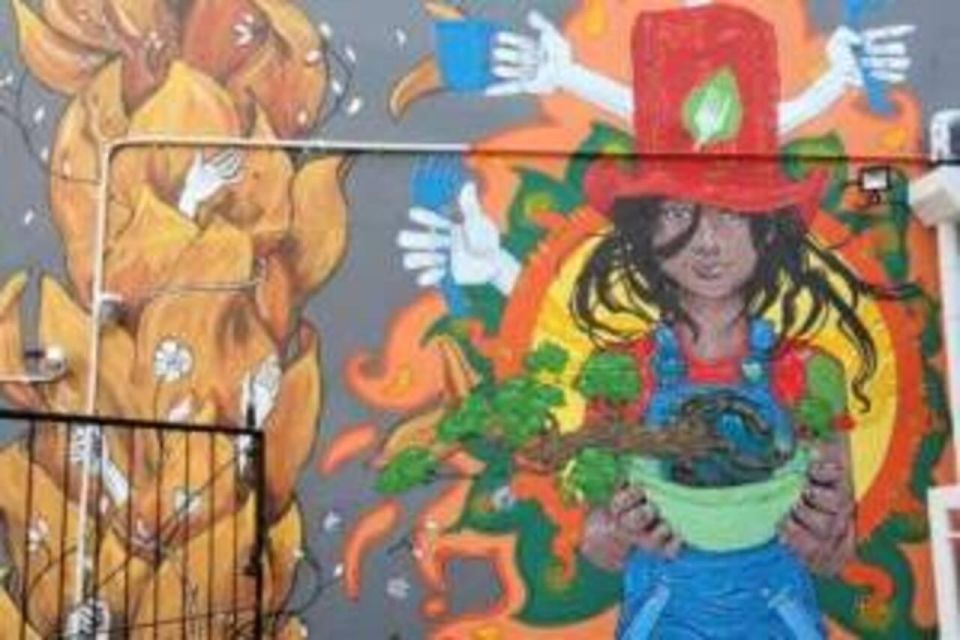 Cape Town Street Art Walking Tour - Reviews