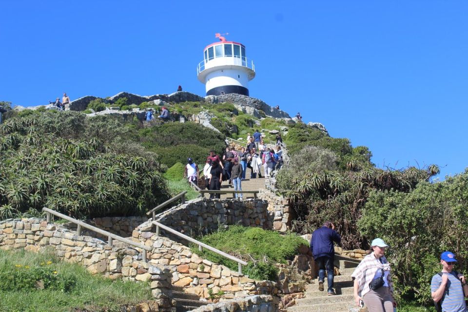 Cape Town : Table Mountain Cape Point Boulders' Penguins - Tour Highlights