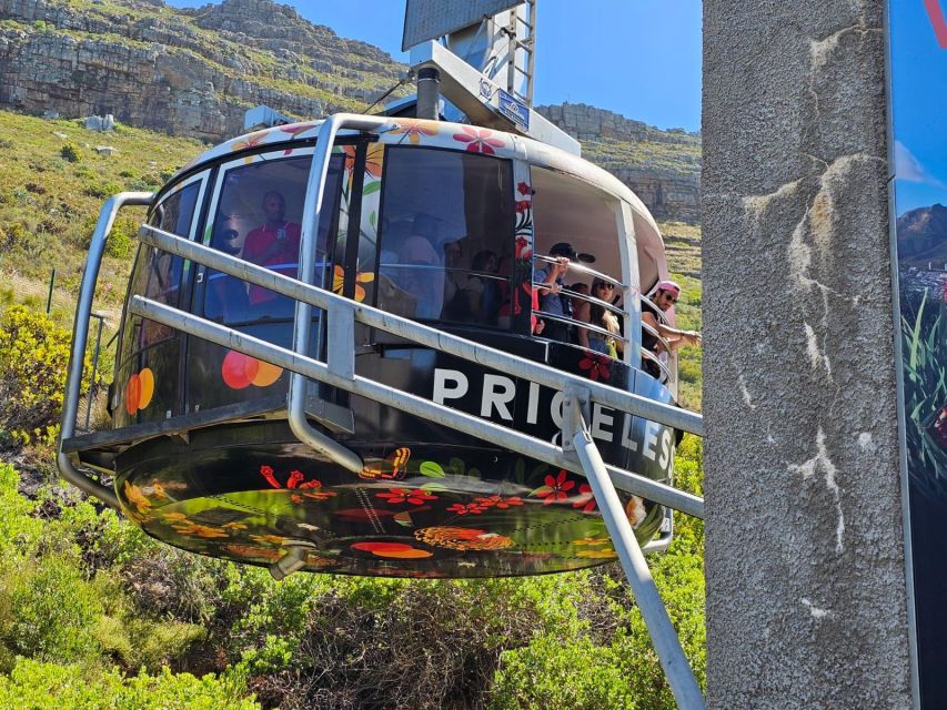 Cape Town: Table Mountain, Cape Point, & Penguins Group Tour - Tour Highlights