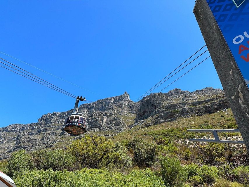 Cape Town: Table Mountain, Penguins & Cape Point Shared Tour - Activity Details