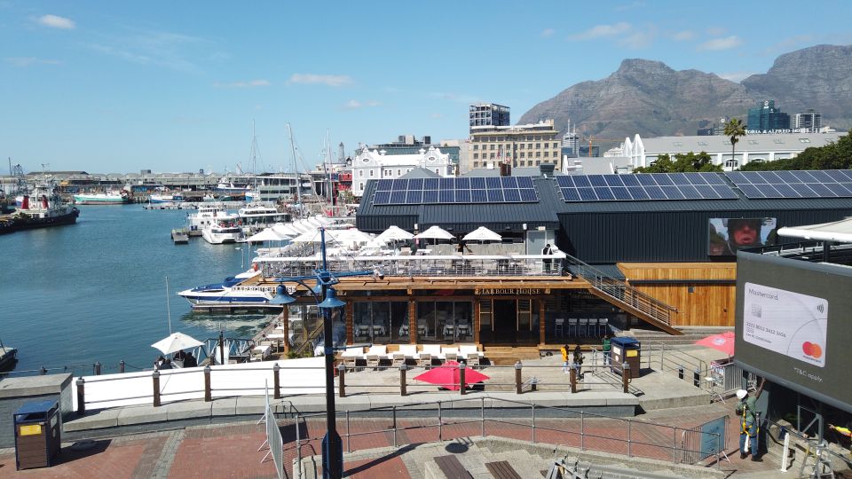 Cape Town: Table Mountain, Robben Island, and Aquarium Tour - Experience Highlights