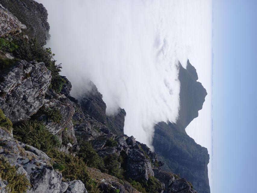 Cape Town: Table Mountain Summit Walk for the Whole Family - Booking Details