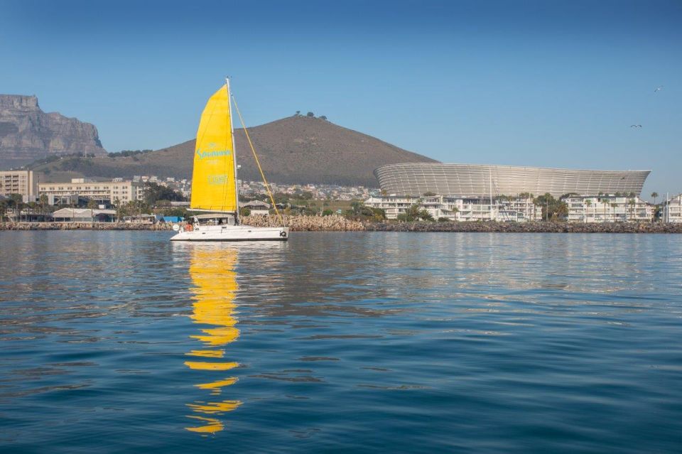 Cape Town: V&A Waterfront Champagne Cruise - Experience Highlights