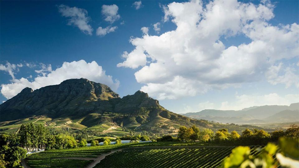 Cape Town Wine Tour: Full Day - Lunch Options