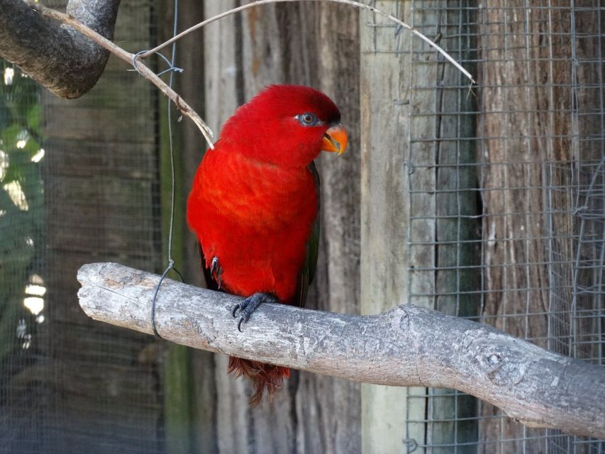 Cape Town: World of Birds & Animal Sanctuary - Experience Highlights