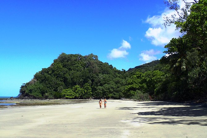 Cape Tribulation Day Tour From Cairns - Traveler Experience