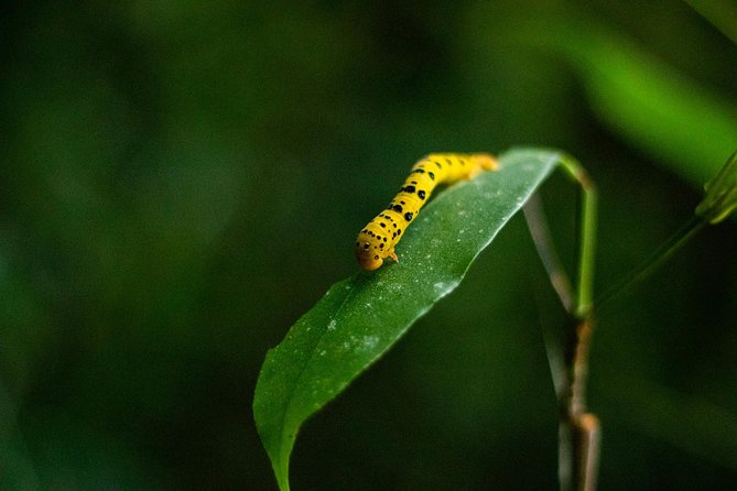 Cape Tribulation Day Tour - Weather and Cancellation Policy