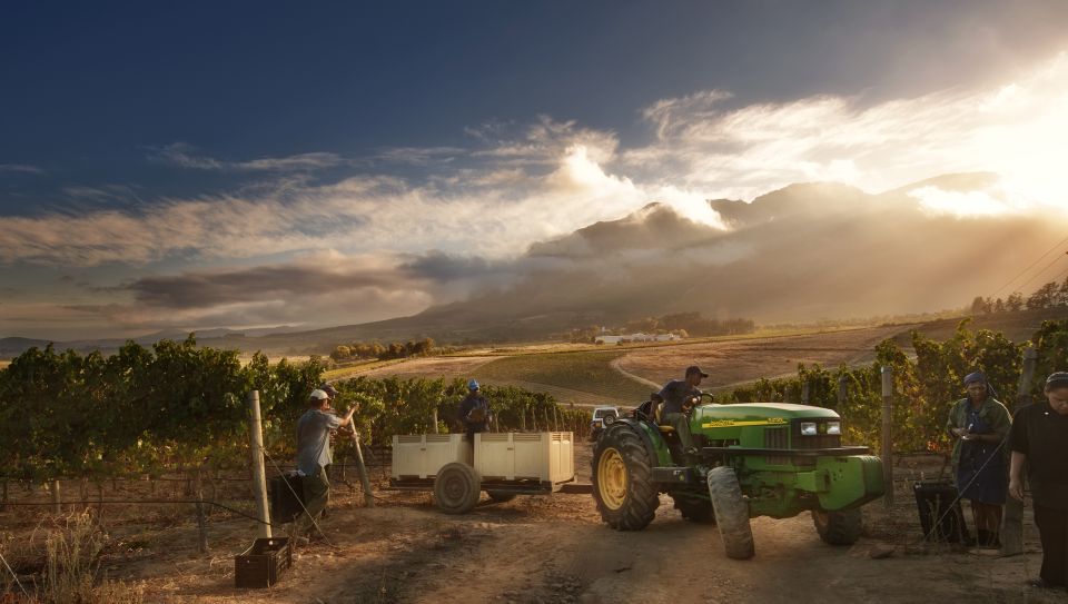 Capetown Winelands Half Day Tour With Local Guide - Cancellation Policy and Reservation Option